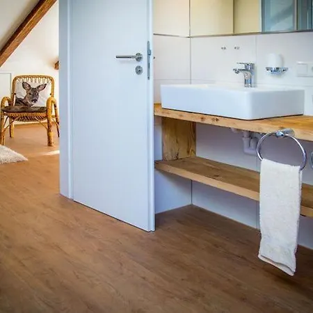 Apartment Nice In Bolsterlang